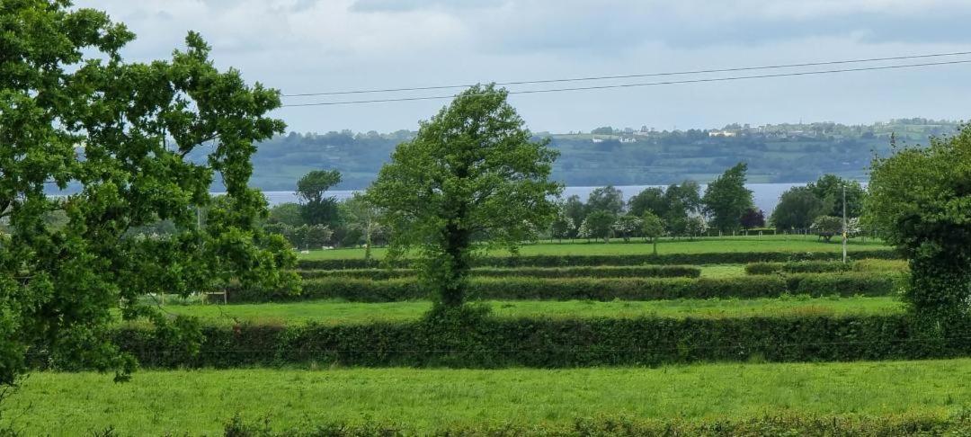 Boutique Country House Aldergrove 克拉姆林 外观 照片